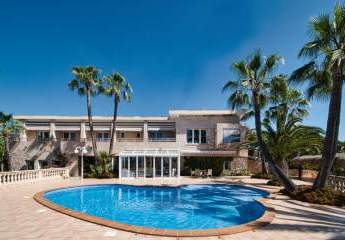 469217-Vorschaubild3