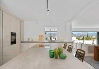 469875-Vorschaubild4