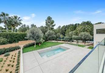 470259-Vorschaubild4