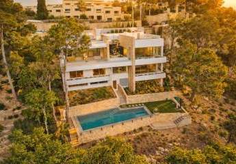 472262-Vorschaubild2