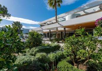 472791-Vorschaubild4