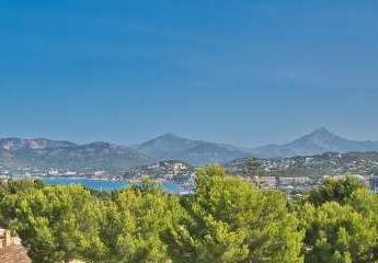 473138-Vorschaubild4