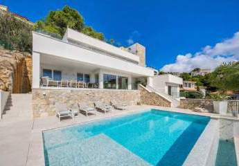 475889-Vorschaubild2