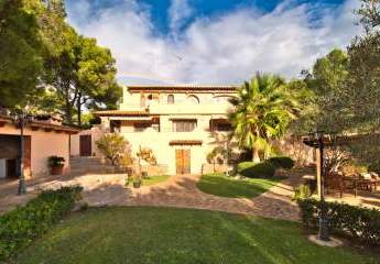 476077-Vorschaubild4