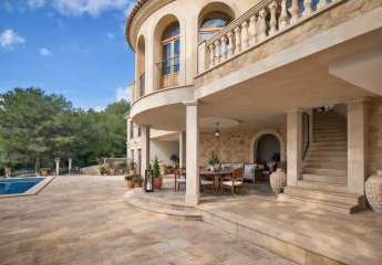 476334-Vorschaubild3