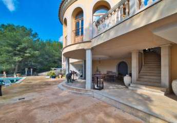 476334-Vorschaubild4