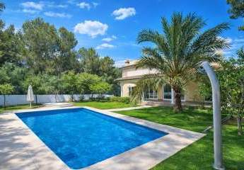 476613-Vorschaubild4