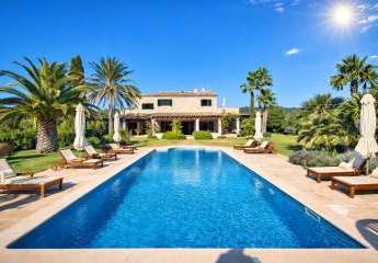 477845-Vorschaubild3