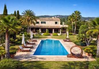 477845-Vorschaubild4