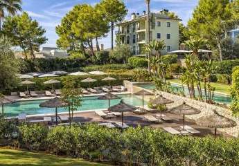 477920-Vorschaubild2