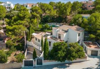 478011-Vorschaubild3