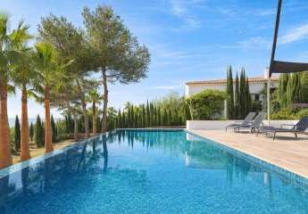 481169-Vorschaubild3