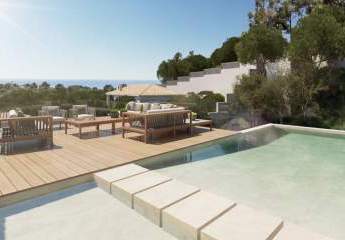 454424-Vorschaubild2