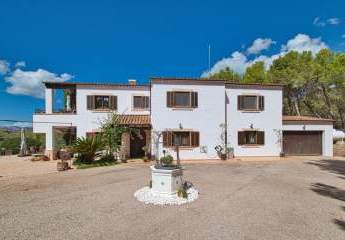 454484-Vorschaubild4