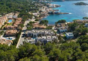 455905-Vorschaubild3