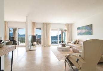 455831-Vorschaubild2