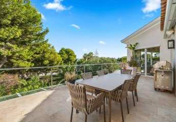 470014-Vorschaubild4