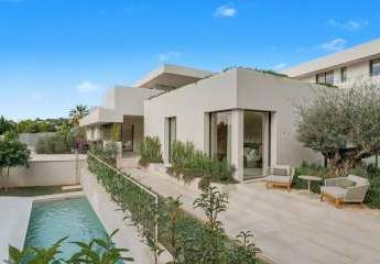 470164-Vorschaubild3