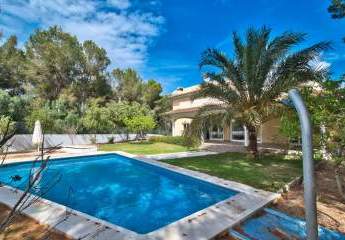 470440-Vorschaubild3