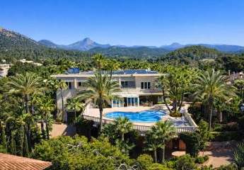 472951-Vorschaubild2