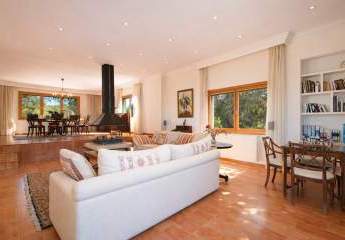 472951-Vorschaubild4