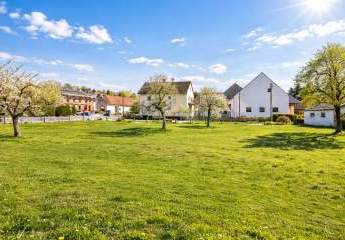 474728-Vorschaubild3