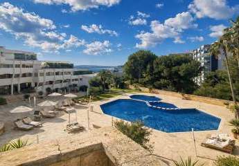 475257-Vorschaubild3