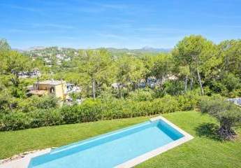 475652-Vorschaubild3