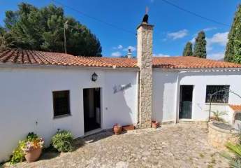 476020-Vorschaubild4