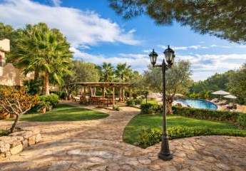 476088-Vorschaubild2