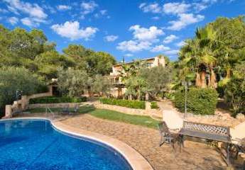 476088-Vorschaubild4