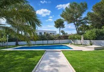 476613-Vorschaubild3