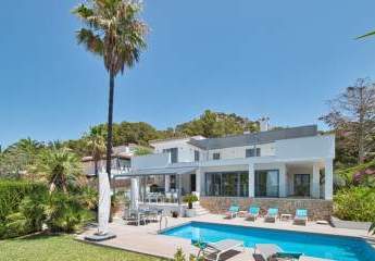 476963-Vorschaubild3