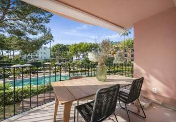 477920-Vorschaubild3