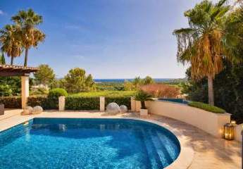 478509-Vorschaubild4