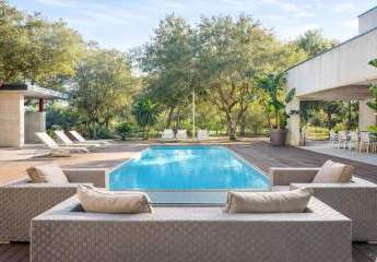 479404-Vorschaubild3