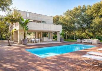 479404-Vorschaubild4