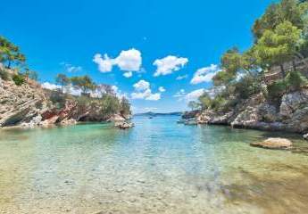 479562-Vorschaubild2