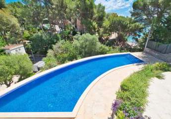 479562-Vorschaubild4