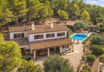 481423-Vorschaubild2