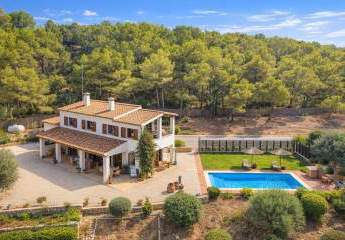 481423-Vorschaubild3