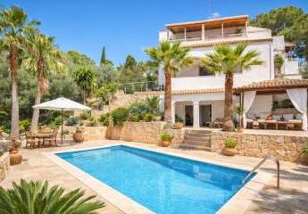 481537-Vorschaubild2