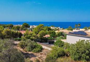 454436-Vorschaubild3