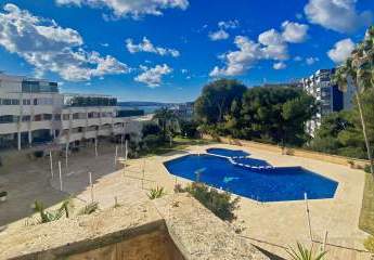 475258-Vorschaubild3