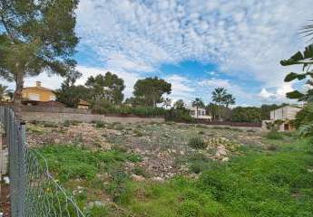 463634-Vorschaubild4