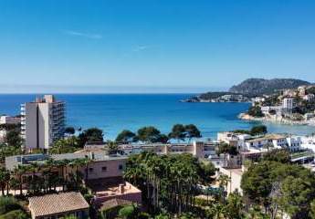 469217-Vorschaubild4