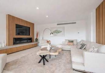 475889-Vorschaubild4