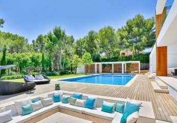 469600-Vorschaubild4