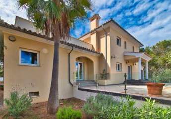 470440-Vorschaubild2