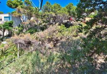 475551-Vorschaubild3